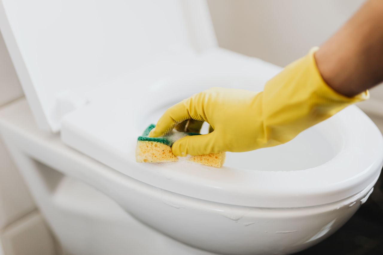 heros-img From above of crop anonymous person in rubber gloves using soapy sponge while cleaning toilet bowl